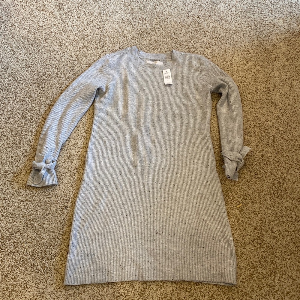 Loft Sweater Dress